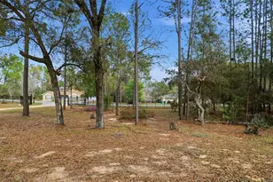 12092 S Hyacinth Point, Floral City, FL 34436 - Photo 66