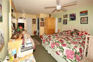 45 Turnstone Dr, Safety Harbor, FL 34695 - Photo 14