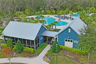 4124 Cadence Loop, Land O Lakes, FL 34638 - Photo 60