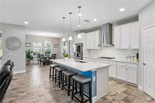 4124 Cadence Loop, Land O Lakes, FL 34638 - Photo 4