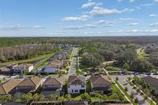 4300 Burdick Loop, Odessa, FL 33556 - Photo 2