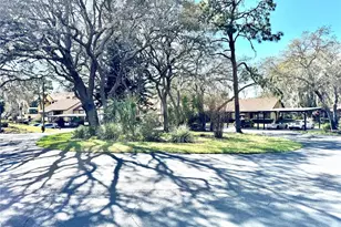 8636 Shadblow Ct, Port Richey, FL 34668 - Photo 4