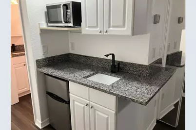 21146 Fountain View Lane #4303, Lutz, FL 33558 - Photo 34