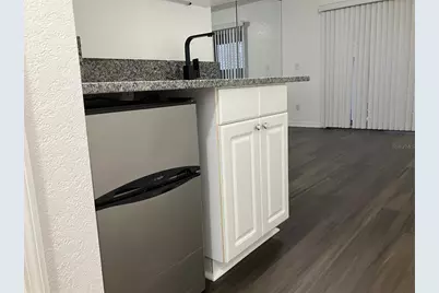 21146 Fountain View Lane #4303, Lutz, FL 33558 - Photo 28