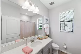 12383 Fitzroy St, Odessa, FL 33556 - Photo 20