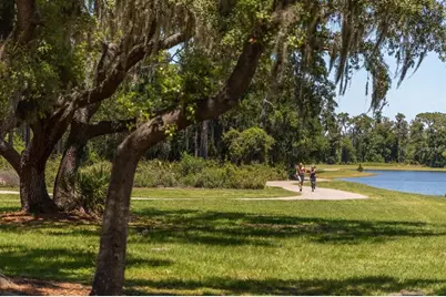 12383 Fitzroy Street, Odessa, FL 33556 - Photo 66