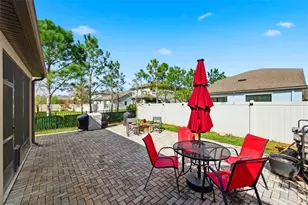 12383 Fitzroy St, Odessa, FL 33556 - Photo 28