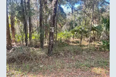 1120 NE 3rd Street, Crystal River, FL 34429 - Photo 4