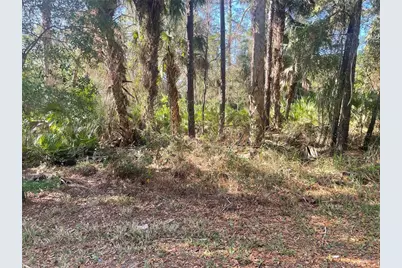 1120 NE 3rd Street, Crystal River, FL 34429 - Photo 4