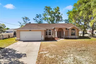 10358 Ireland St, Spring Hill, FL 34608 - Photo 1