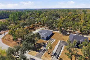 34111 August Ave, Webster, FL 33597 - Photo 62