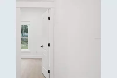 34111 August Avenue, Webster, FL 33597 - Photo 48