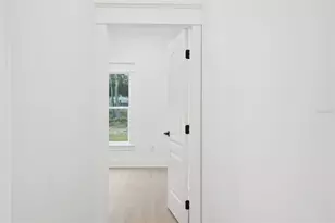 34111 August Ave, Webster, FL 33597 - Photo 48