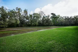 9819 Conservation Dr, New Port Richey, FL 34655 - Photo 44