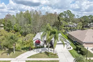 1122 Maravista Dr, Trinity, FL 34655 - Photo 1