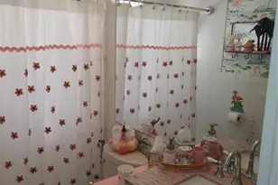 5325 Tarry Ln, New Port Richey, FL 34652 - Photo 20