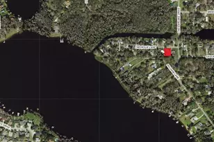 14328 Chisholm Ln, Odessa, FL 33556 - Photo 1