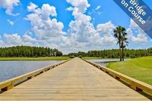 1536 Morning Rose Pl, Trinity, FL 34655 - Photo 32