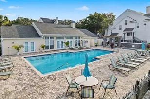 3313 Haviland Ct, Palm Harbor, FL 34684 - Photo 16