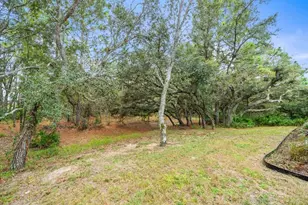 13 Witch Hazel Ct, Homosassa, FL 34446 - Photo 38