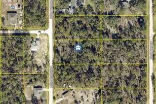 Lot 8 Nuthatch Rd, Weeki Wachee, FL 34614 - Photo 1