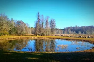 1106 Fox Hunter Rd, Perry, FL 32348 - Photo 1