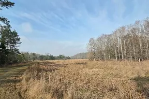 1106 Fox Hunter Rd, Perry, FL 32348 - Photo 16