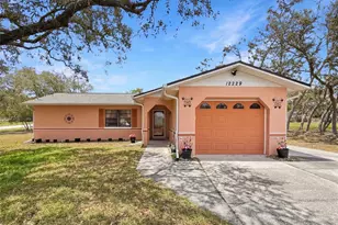 12229 Cedro St, Spring Hill, FL 34609 - Photo 1
