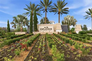 4533 Isonzo Way, Wesley Chapel, FL 33543 - Photo 24