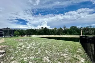 11051 Belle Haven Dr, New Port Richey, FL 34654 - Photo 52