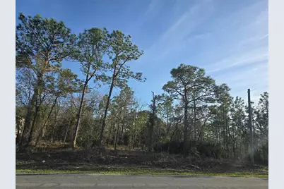 13070 Quigley Avenue, Weeki Wachee, FL 34614 - Photo 1