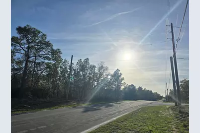 13070 Quigley Avenue, Weeki Wachee, FL 34614 - Photo 2