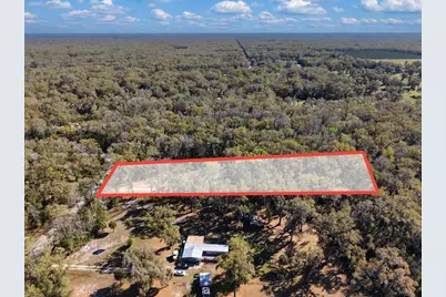 164 NE 293rd Avenue, Old Town, FL 32680 - Photo 8