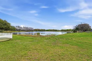 1312 Brooke View Dr, Odessa, FL 33556 - Photo 62