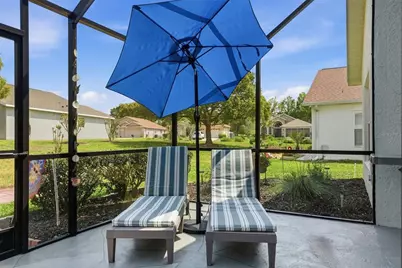 314 McIntosh Court, Spring Hill, FL 34609 - Photo 34