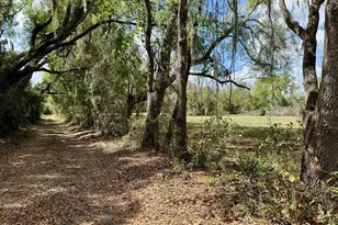 10010 Fort King Rd, Dade City, FL 33525 - Photo 32