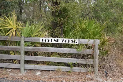 1459 NE 743 Street, Cross City, FL 32628 - Photo 4