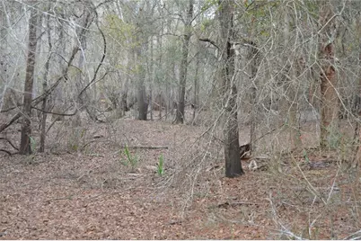 1459 NE 743 Street, Cross City, FL 32628 - Photo 44