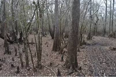 1459 NE 743 Street, Cross City, FL 32628 - Photo 32