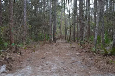 1459 NE 743 Street, Cross City, FL 32628 - Photo 48