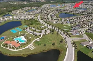 16336 Little Garden Dr, Wimauma, FL 33598 - Photo 4