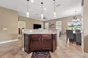 5533 Tower Rd, Land O Lakes, FL 34638 - Photo 12