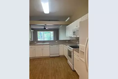 20721 Eustis Road, Land O Lakes, FL 34637 - Photo 8