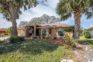 5641 Mossberg Dr, New Port Richey, FL 34655 - Photo 54