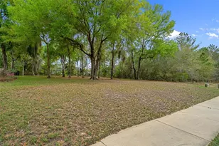 6096 Dusk Rose Ln, Brooksville, FL 34601 - Photo 68