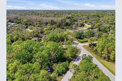 100 Fern Street, New Port Richey, FL 34654 - Photo 22