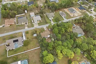 10294 Dotted Wren Ave, Weeki Wachee, FL 34613 - Photo 36