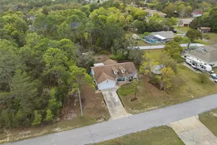 10294 Dotted Wren Ave, Weeki Wachee, FL 34613 - Photo 30