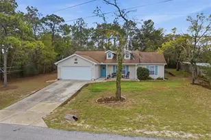 10294 Dotted Wren Ave, Weeki Wachee, FL 34613 - Photo 28