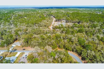 8743 N Sandree Drive, Citrus Springs, FL 34434 - Photo 6